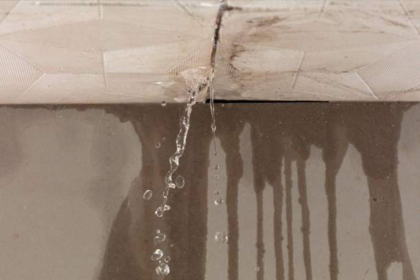 Professional Structural Drying technician working in Sheridan, TX